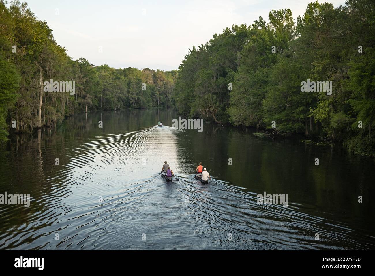 Canoeing on the Withlacoochee River in Dunnellon, Florida. Early morning paddle practice on a scenic FL river. Stock Photo