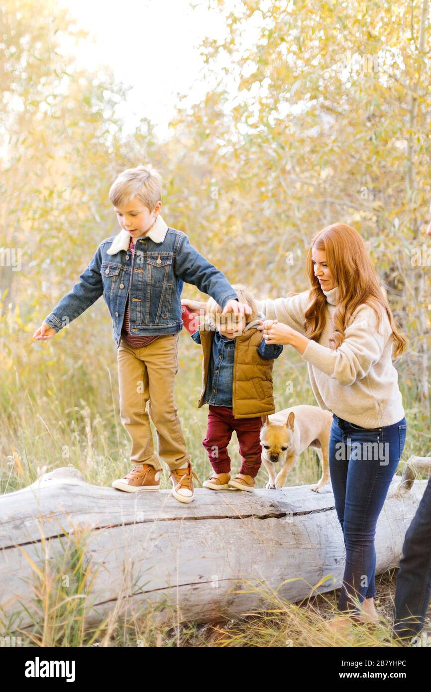 Woman holding hands of her sons as they walk on fallen tree Stock Photo