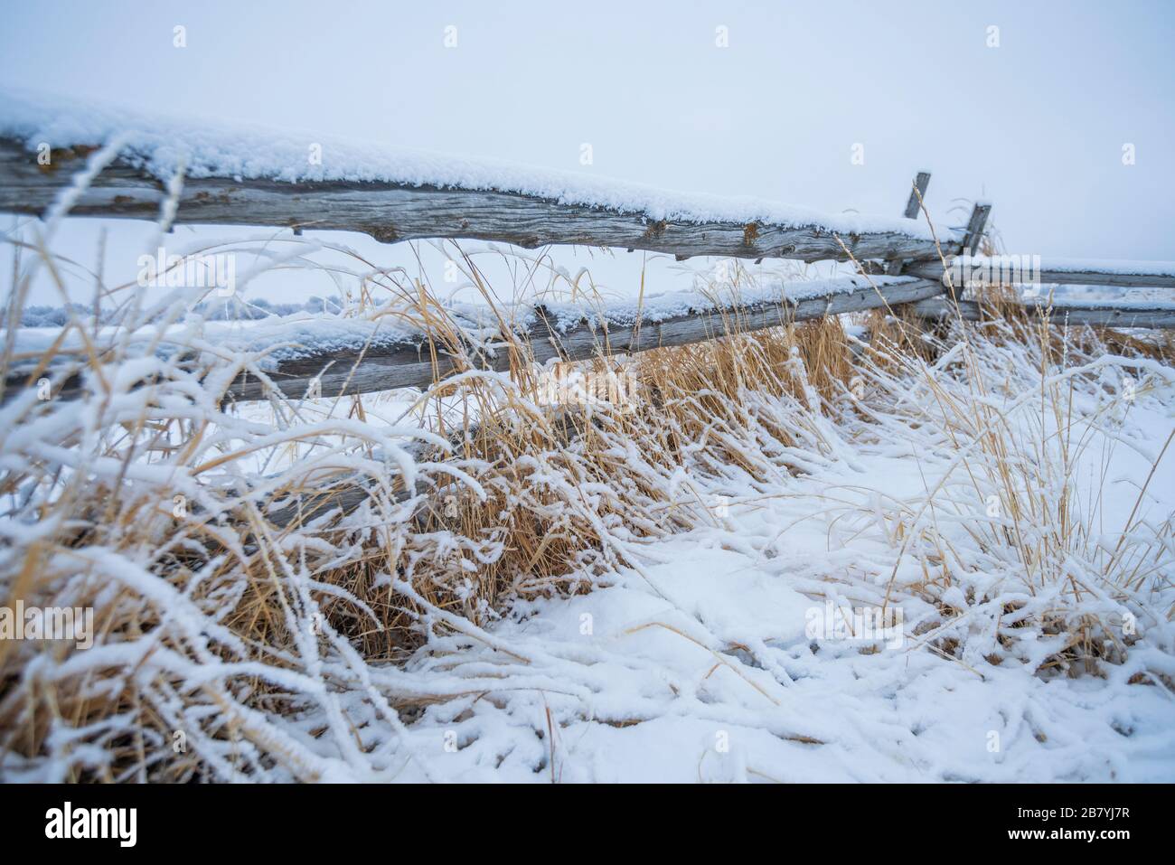 Wooden fence with snow on farm in winter Stock Photo - Alamy