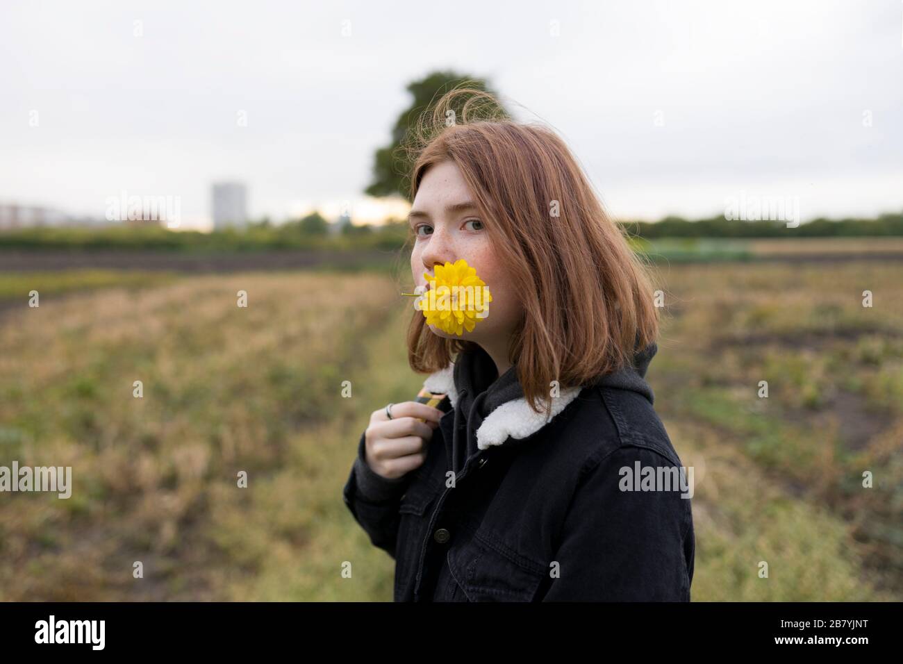 Teenage girl holding yellow flower in field Stock Photo