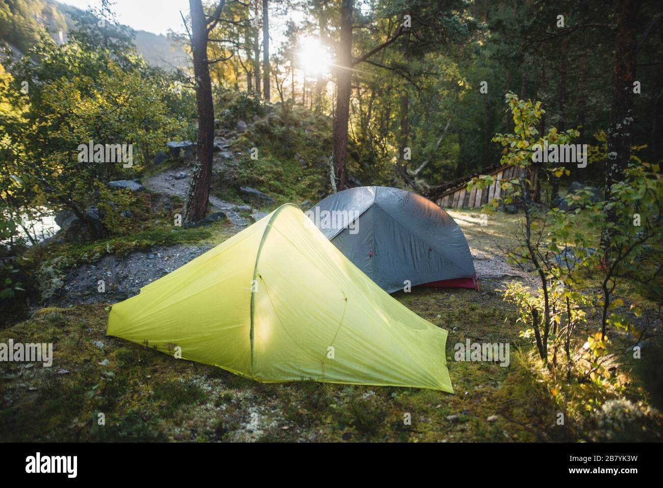 Tents in forest Stock Photo