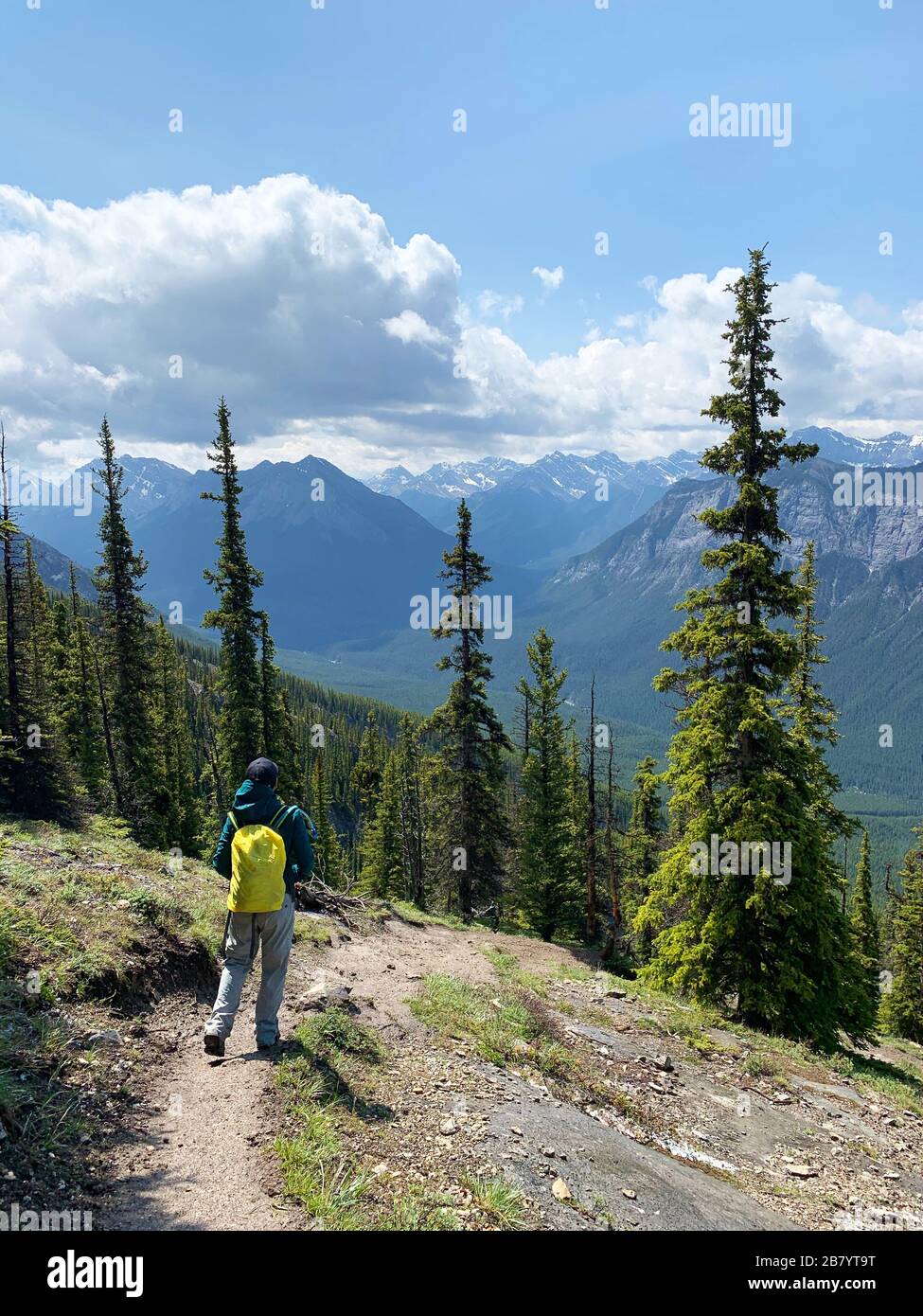 Woman hiking through Canadian Rockies at Mount Rundle in Banff National ...