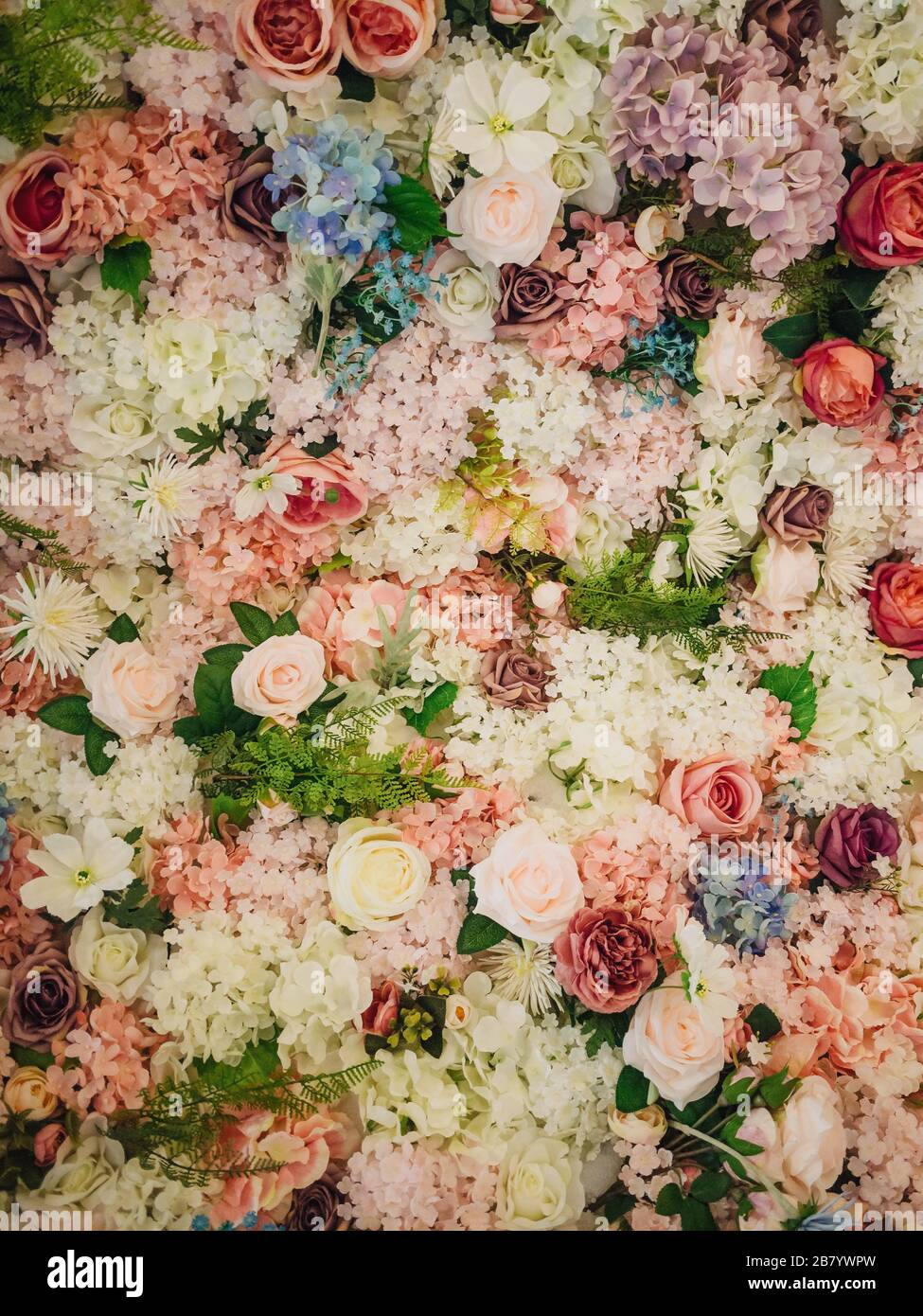 Close-up view of beautiful floral background with tender elegant flowers  Stock Photo - Alamy