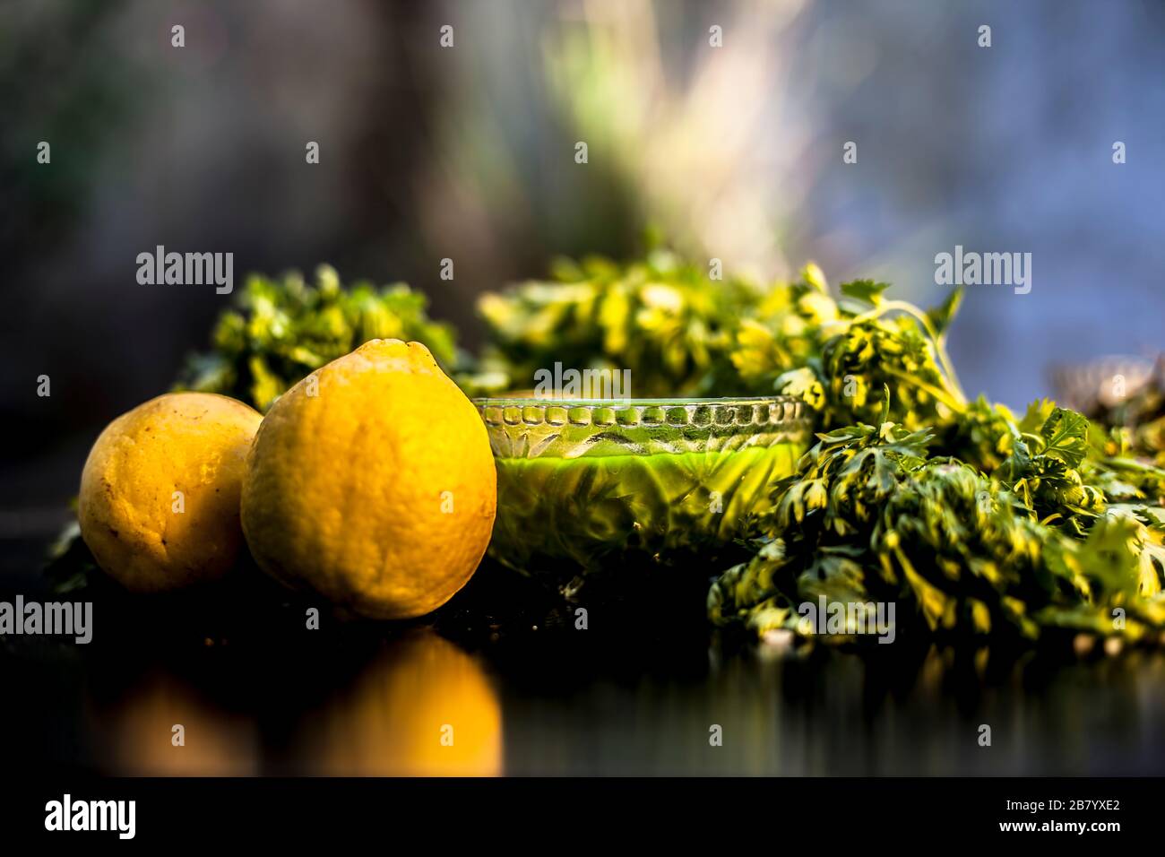 Face mask of coriander in a glass bowl consisting of some cilantro