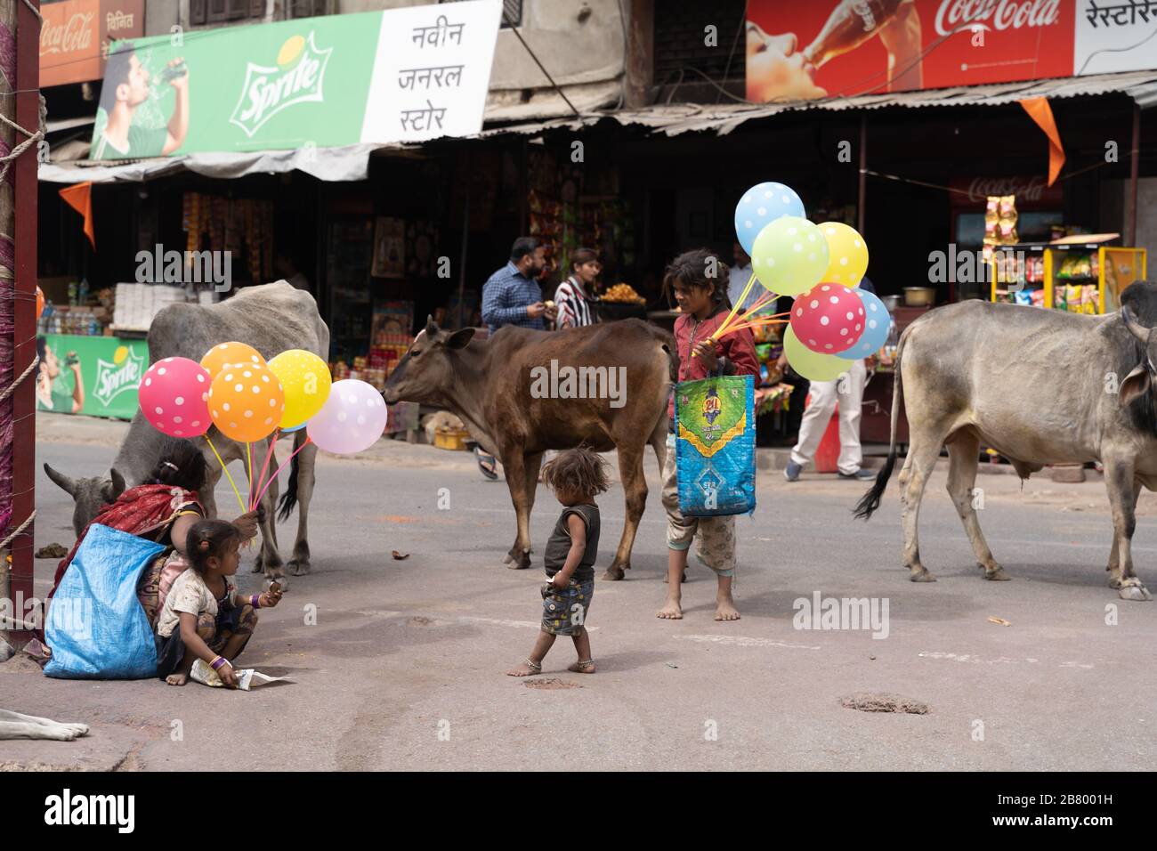 Eklingji, India - March 15, 2020: Street life scene in rural India, with children selling balloons, cows roaming around and market vendors Stock Photo
