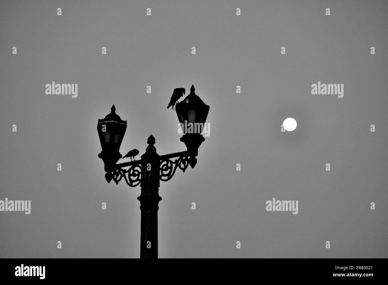 Full moon, Two crows sitting on antique light pole, Gateway of India, Apollo Bunder, Colaba, Bombay, Mumbai, Maharashtra, India, Asia Stock Photo