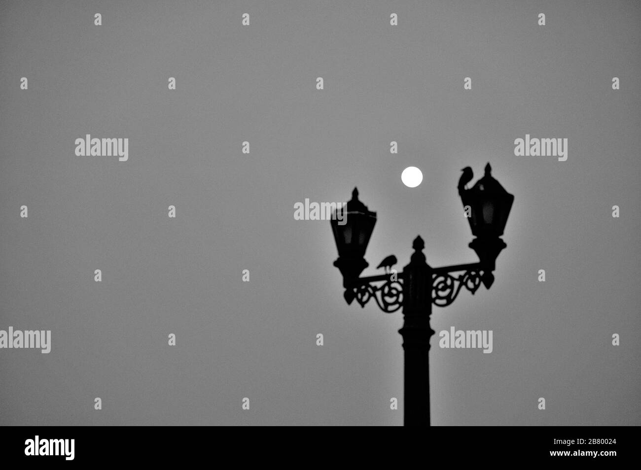 Full moon, Two crows sitting on antique light pole, Gateway of India, Apollo Bunder, Colaba, Bombay, Mumbai, Maharashtra, India, Asia Stock Photo