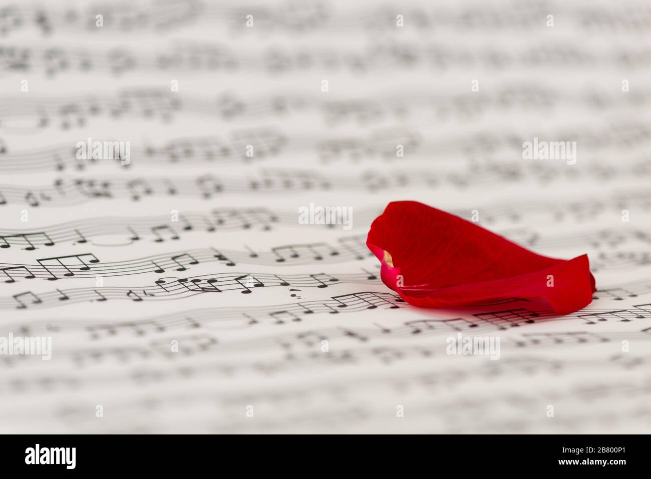 Lyrics Sheet Stock Photos Lyrics Sheet Stock Images Alamy