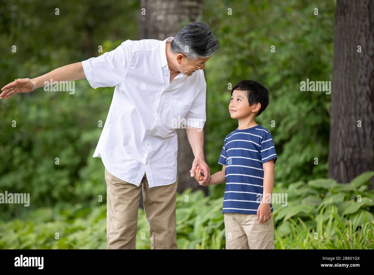 Happy Chinese grandfather and grandson holding hands in park Stock
