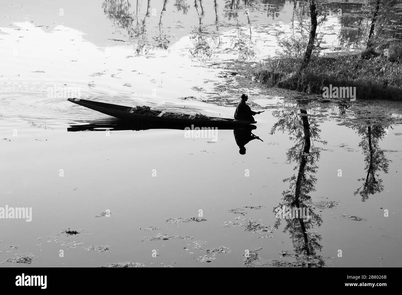 Kashmiri paddling boat, Nagin Lake, Dal Lake, Srinagar, Kashmir, Jammu and Kashmir, India, Asia