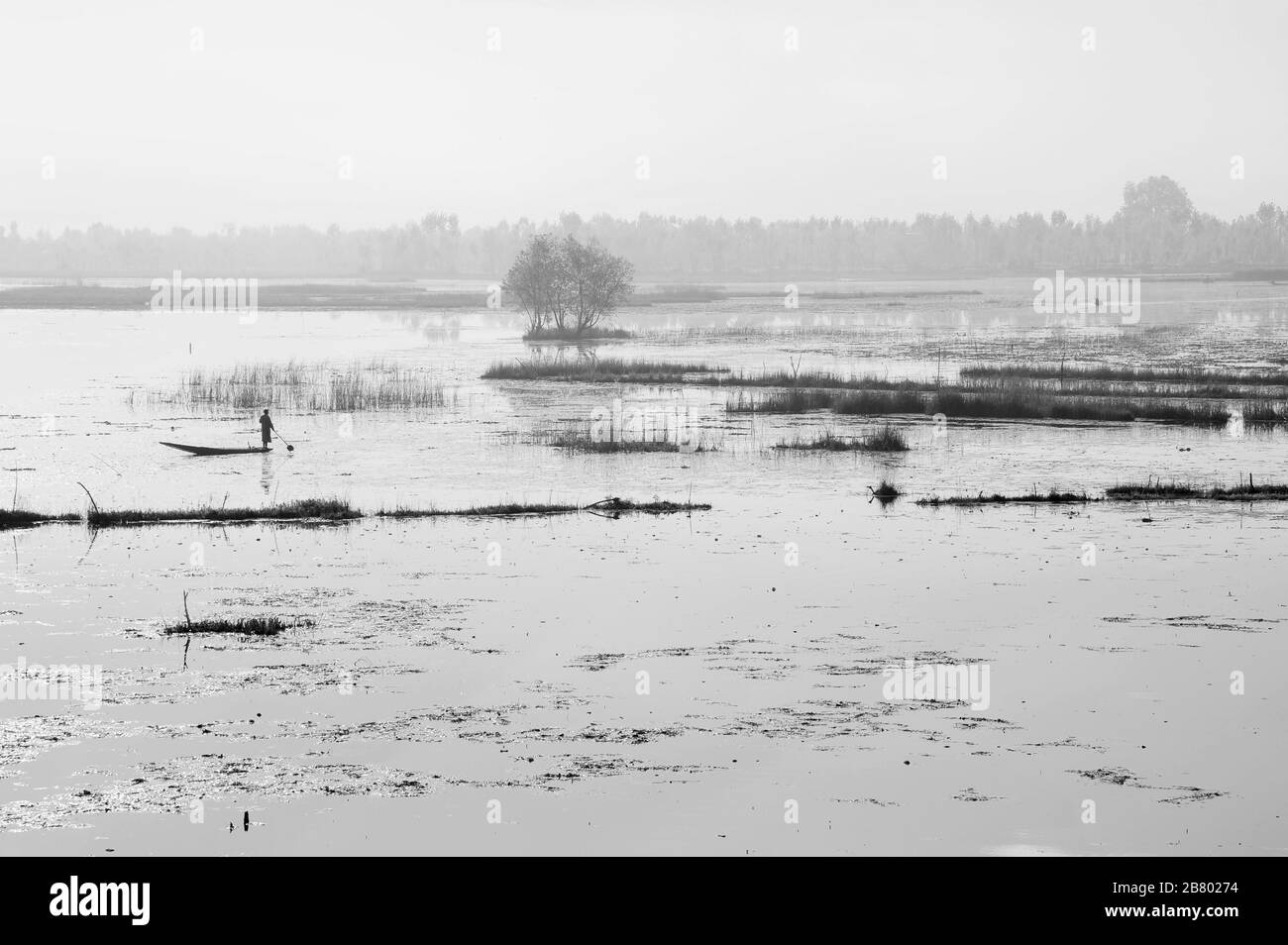 Kashmiri paddling boat, Nagin Lake, Dal Lake, Srinagar, Kashmir, Jammu and Kashmir, India, Asia
