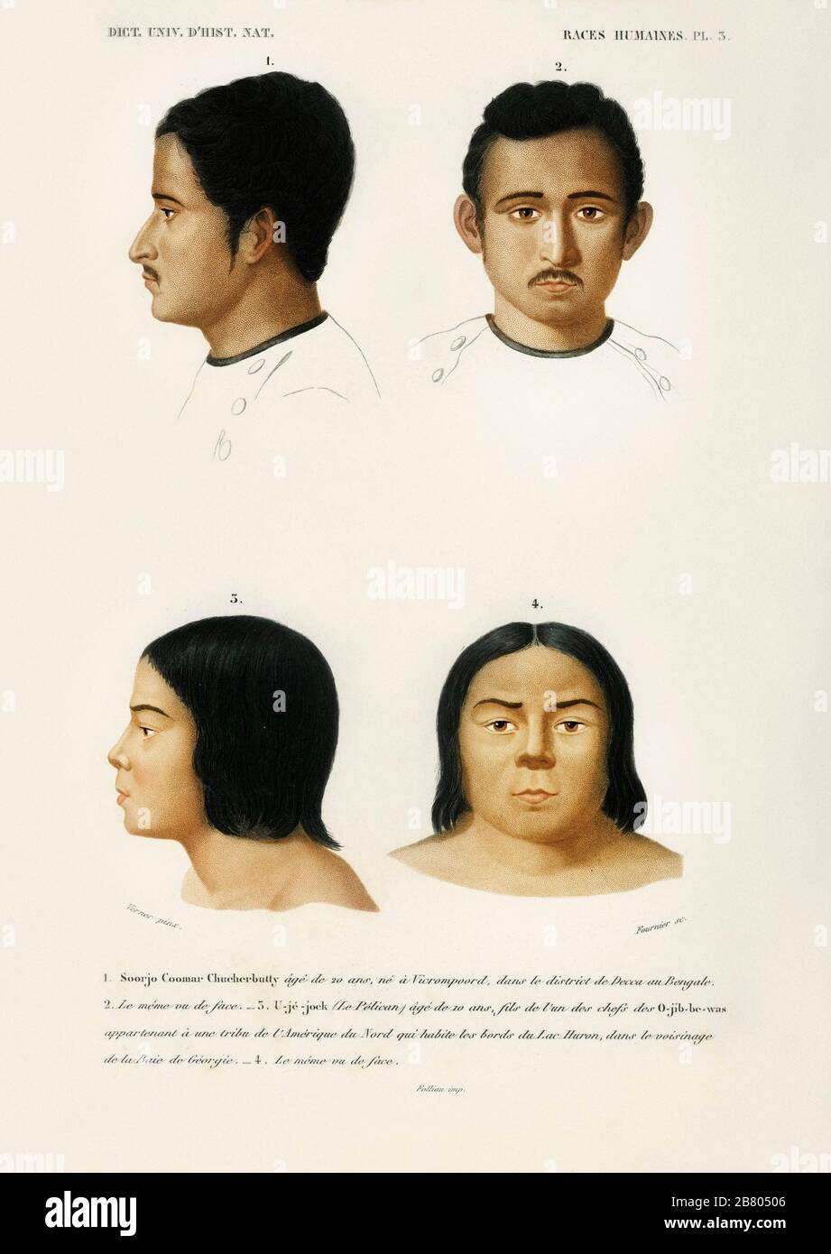 5 human races