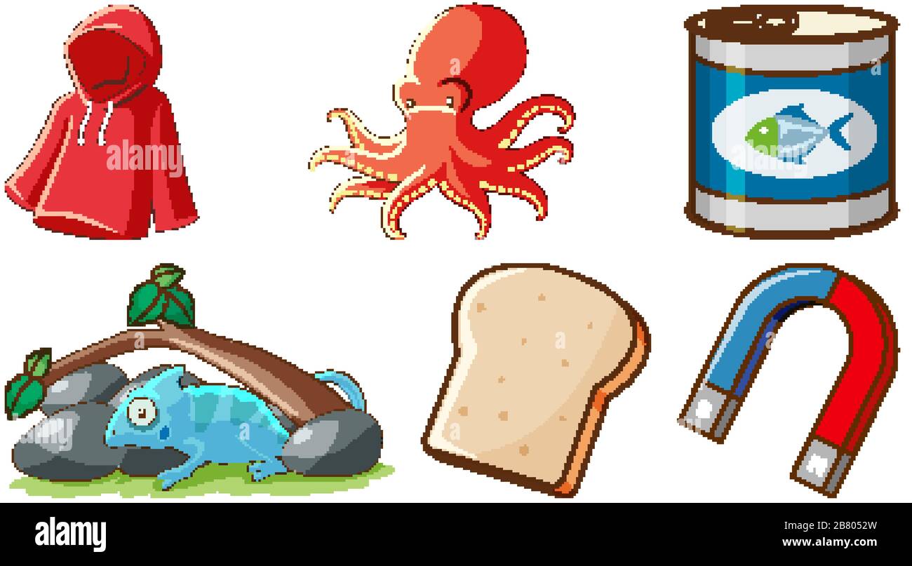 Large set of different animals and other objects on white background ...
