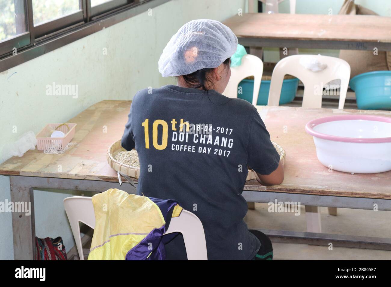 WORKERS SORTING COFFEE BEANS AT DOI CHANG,CHIANG RAI,NORTHERN THAILAND. Stock Photo