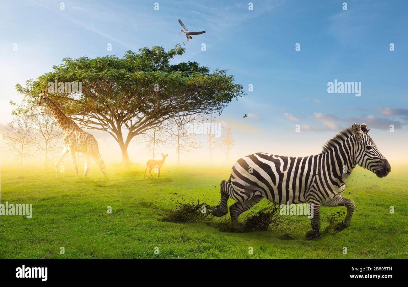 Conceptual image of common African safari wildlife animals meeting together around a tree. Wildlife conservation concept. Stock Photo