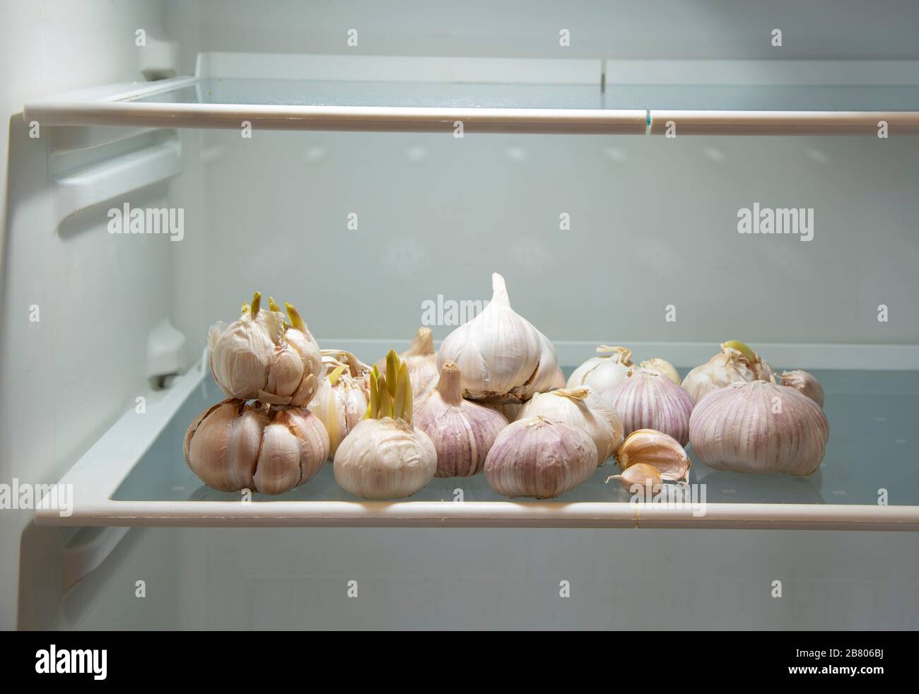 Как сохранить чеснок в холодильнике