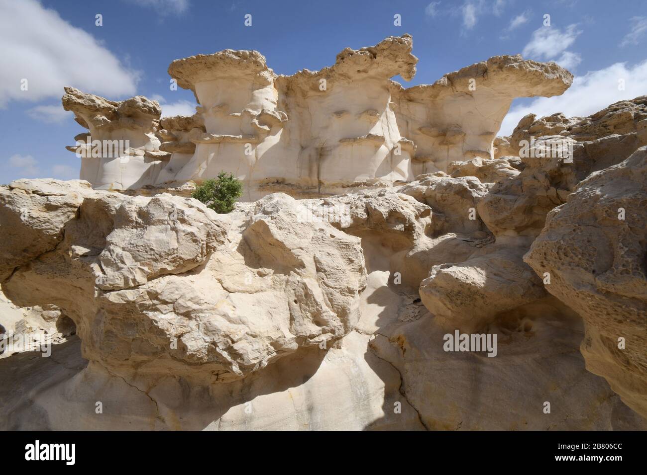 Wadi Hawarim, Negev Desert, Israel Stock Photo