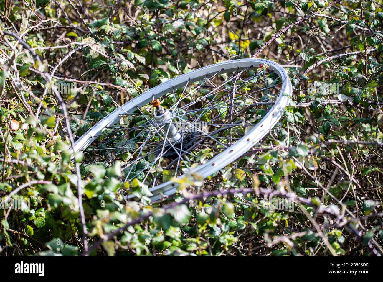 Abandoned bicycle wheel - flytipping Stock Photo