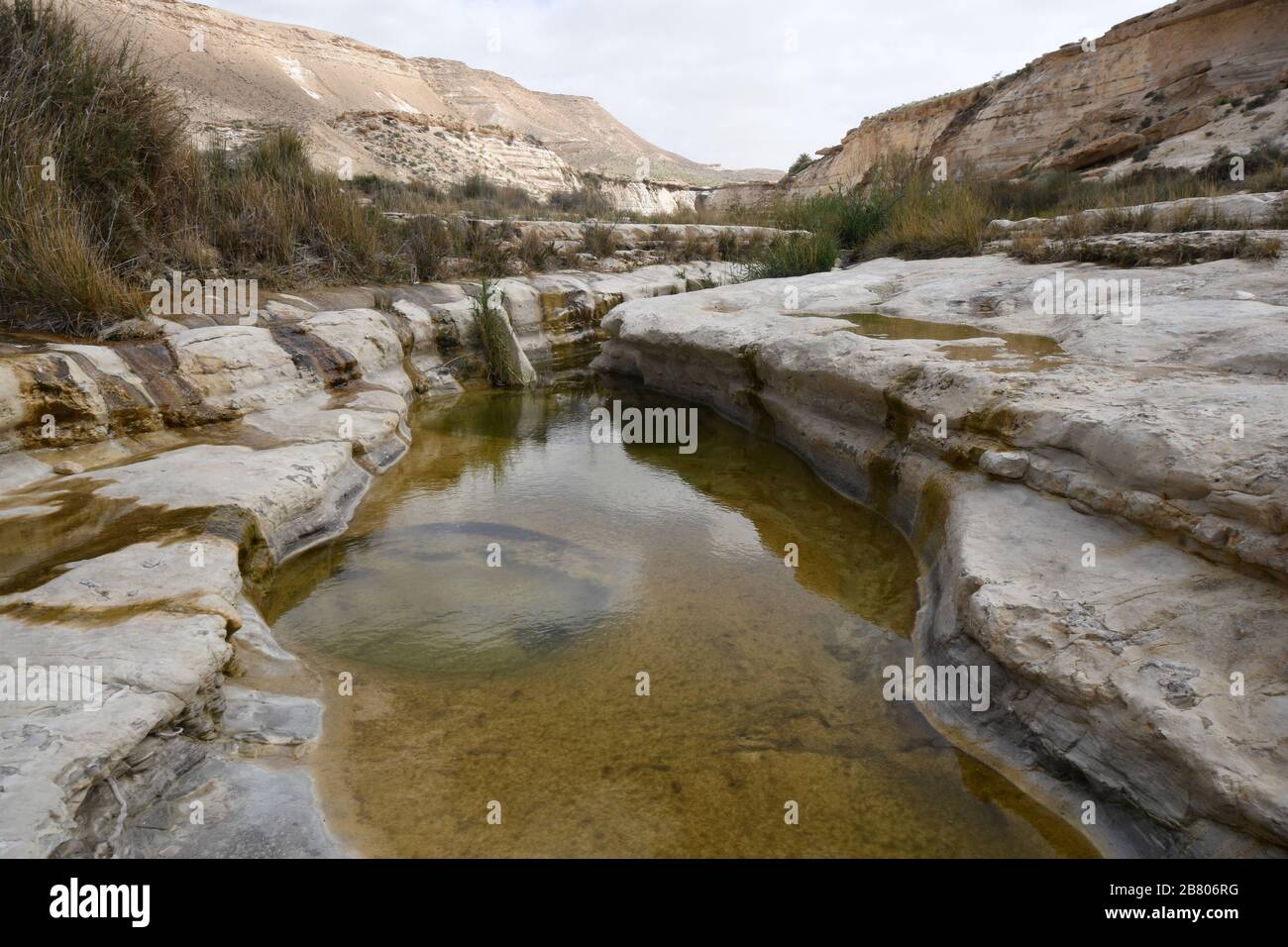 Wadi Hawarim, Negev Desert, Israel. Flood water collects in the stone pools Stock Photo