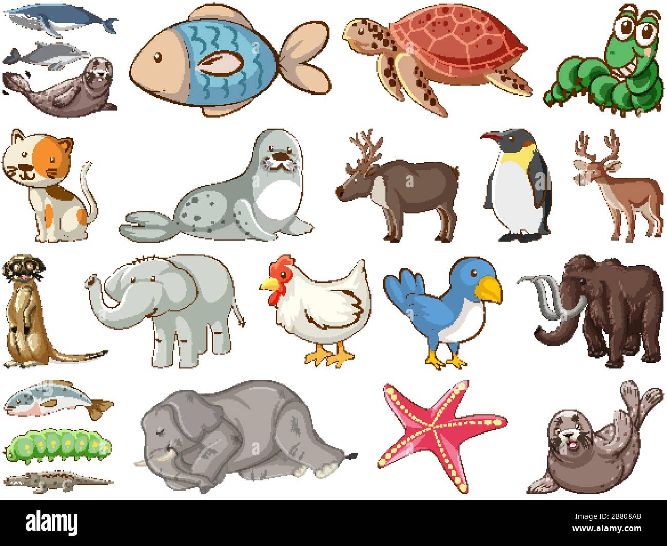 Large set of wildlife with many types of animals land and sea illustration  Stock Vector Image & Art - Alamy