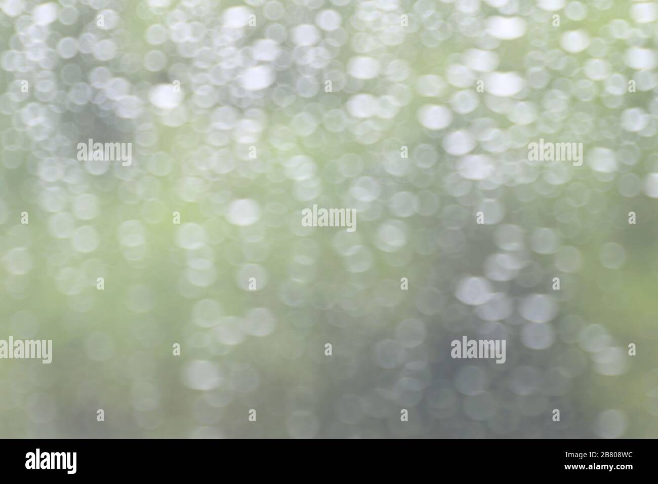 nature bokeh light tree green soft background Stock Photo - Alamy