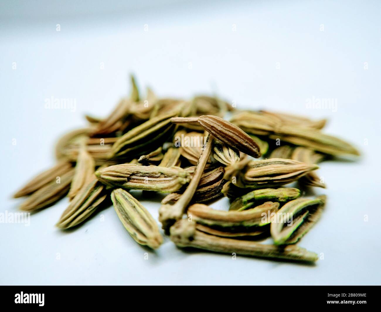 A picture of fennel seeds Stock Photo Alamy