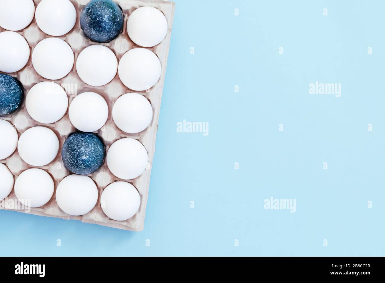 A lot of white eggs and a few painted in blue are in the container on the light blue background. Top view. Easter concept. Copy space. Stock Photo