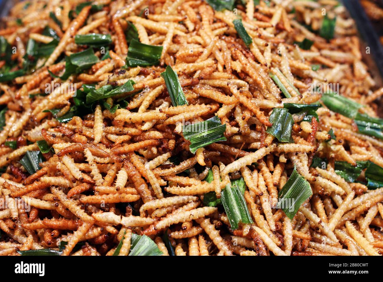 Fried bamboo worm is Thailand street food snack Stock Photo Alamy