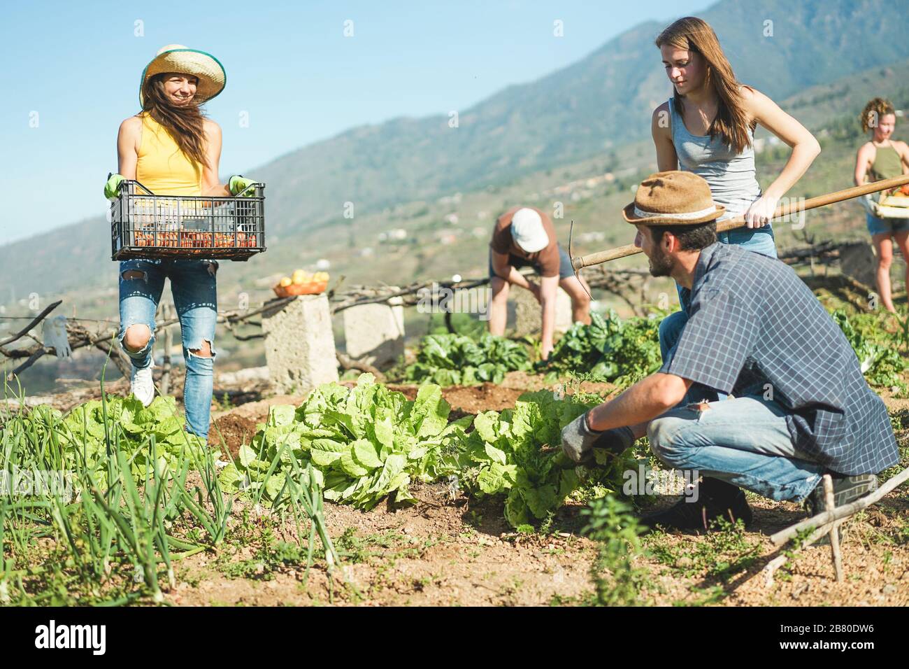 A working holiday is. пляж ноутбук обложка. Holiday work. We are. A working holiday is.