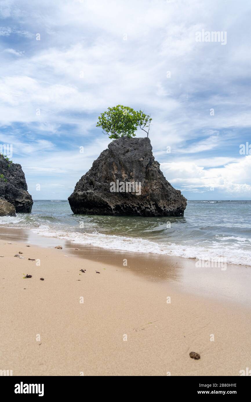 Unique tree growing on a triangular rock in the ocean on Bingin Beach