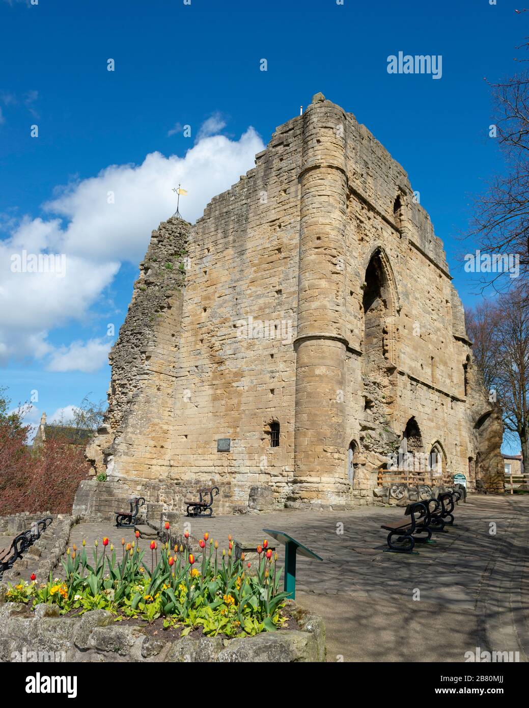 Spring view of the ruined stone keep of Knaresborough Castle, once a medieval fortress, now a popular visitor attraction in this Yorkshire town Stock Photo