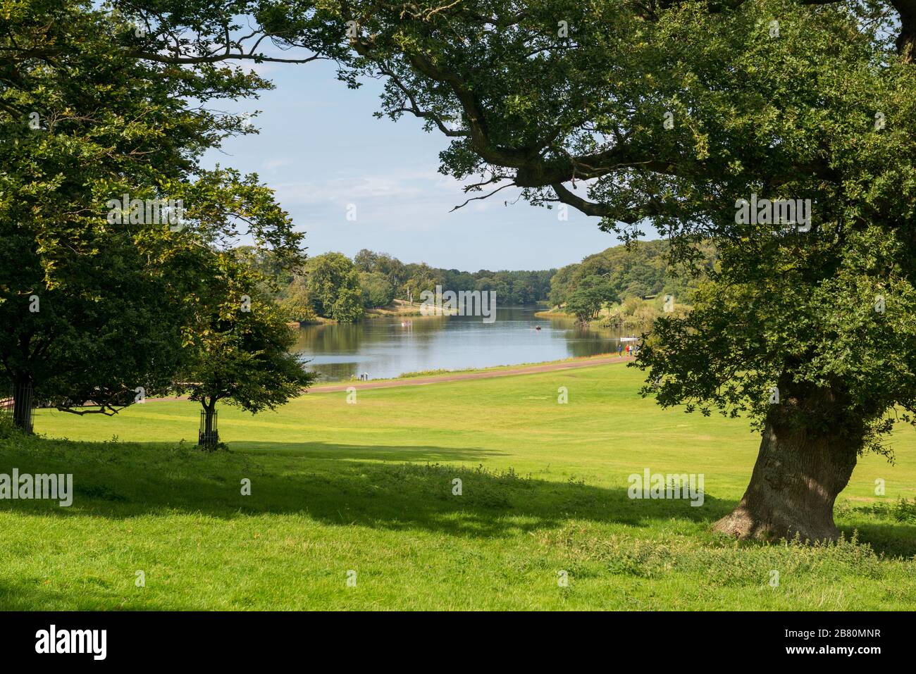 View across parkland to the lake in the Holkham Estate in Norfolk Stock Photo