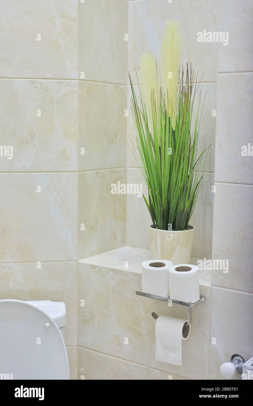 Toilet interior, decorative potted plant, toilet paper rolls Stock