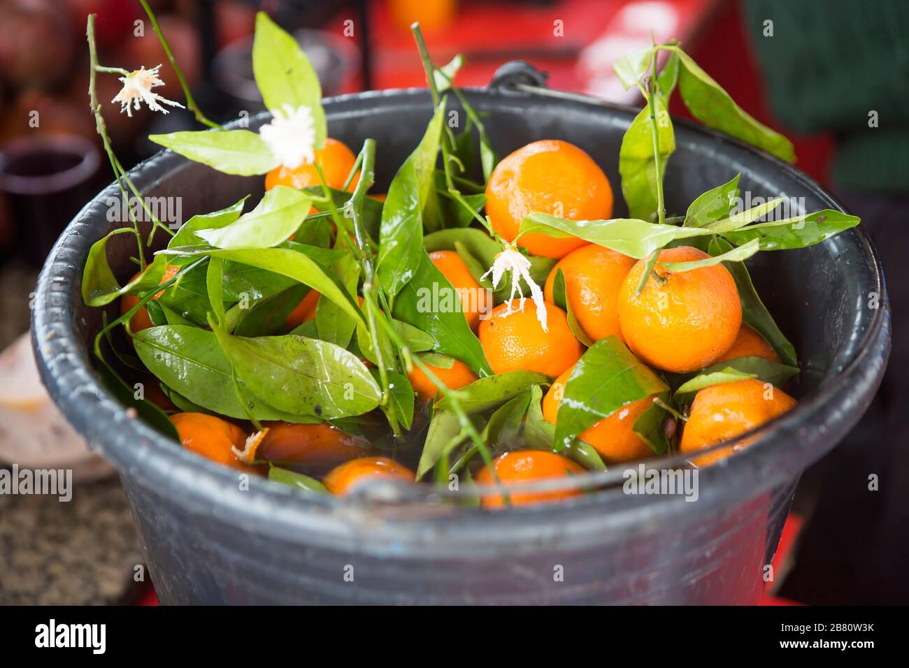Oranges with leaves in bucket with water, Morocco Stock Photo Alamy
