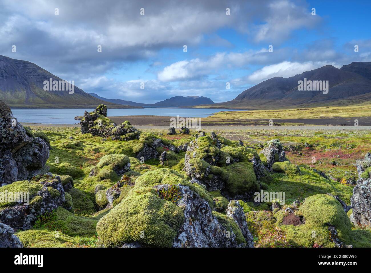 moss covered lava field in the highlands of Iceland Stock Photo - Alamy