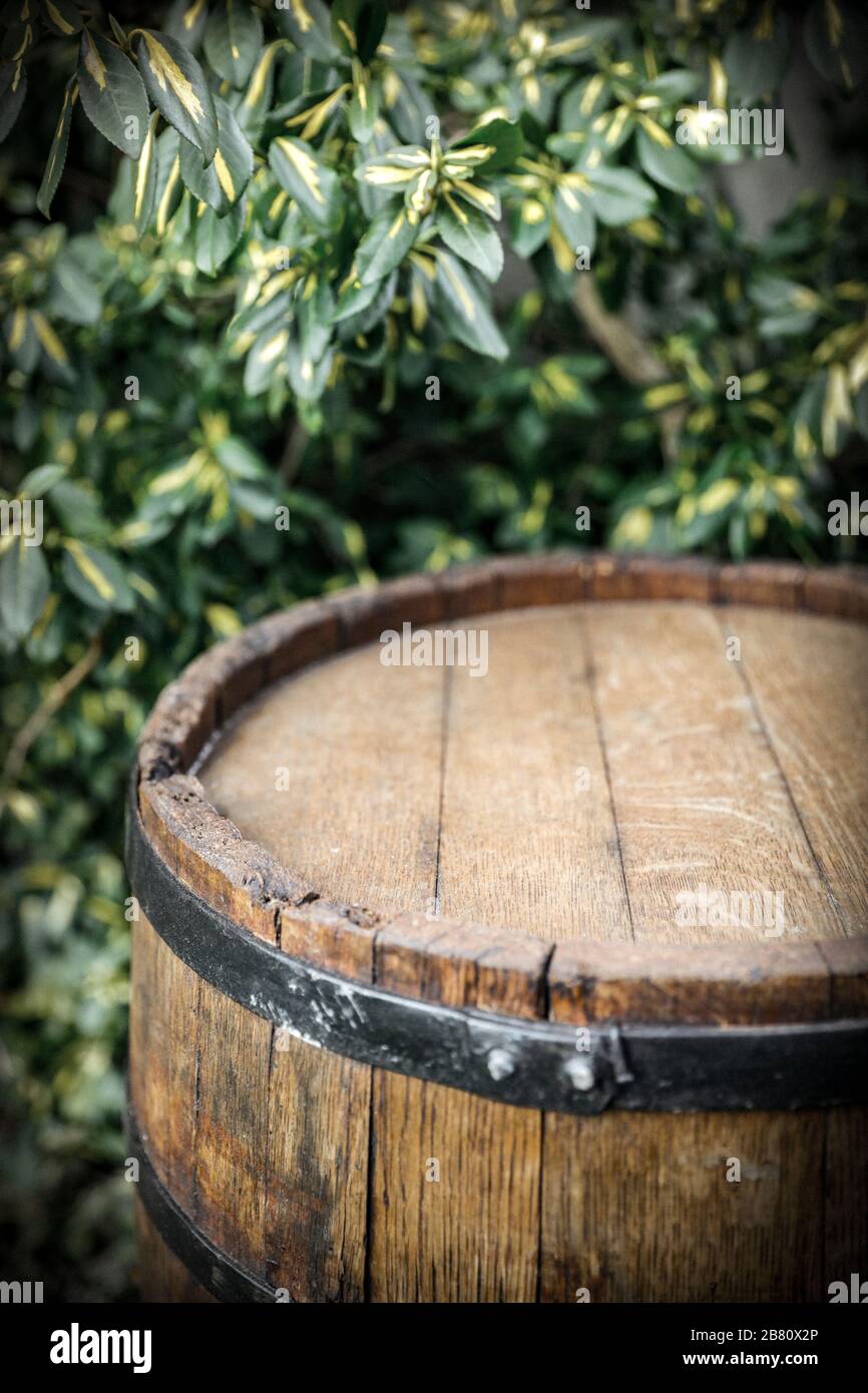 Old wooden barrel as a table with space for an advertising product. Green plants garden background. Stock Photo