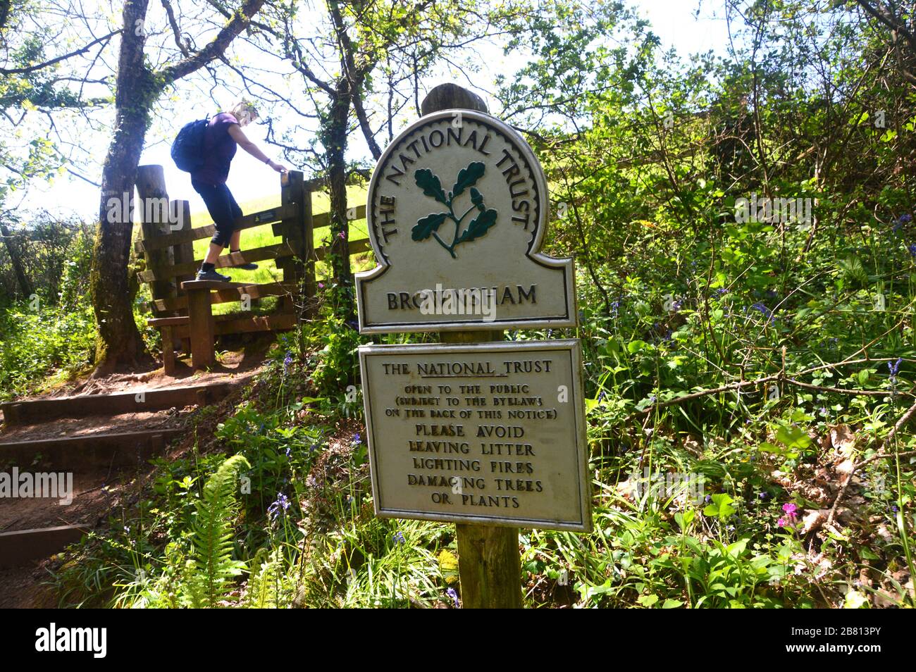 Brownsham wood hires stock photography and