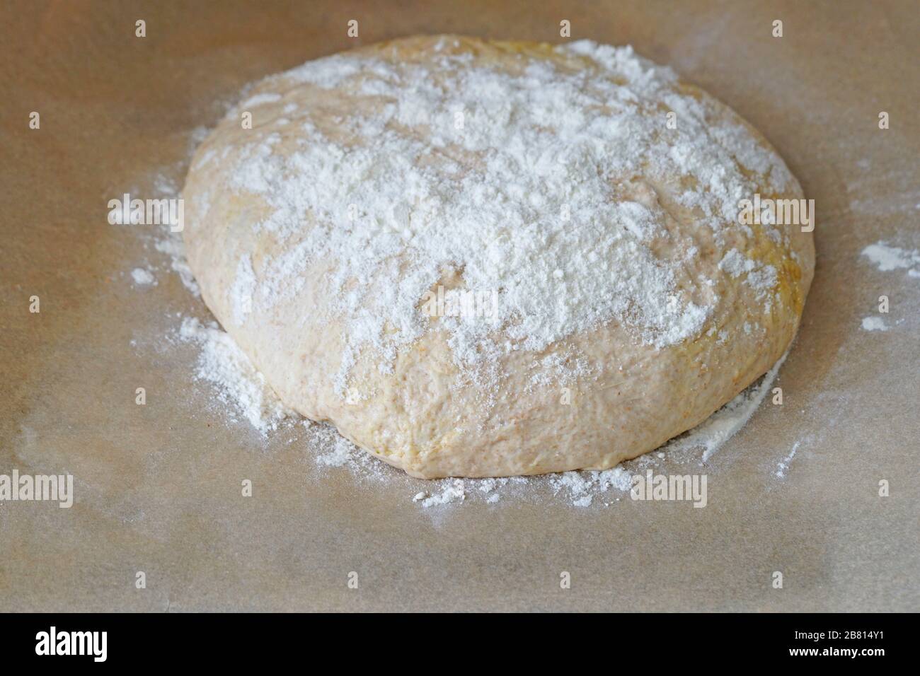 Making a floured bread loaf with proofed yeast dough on parchment paper Stock Photo