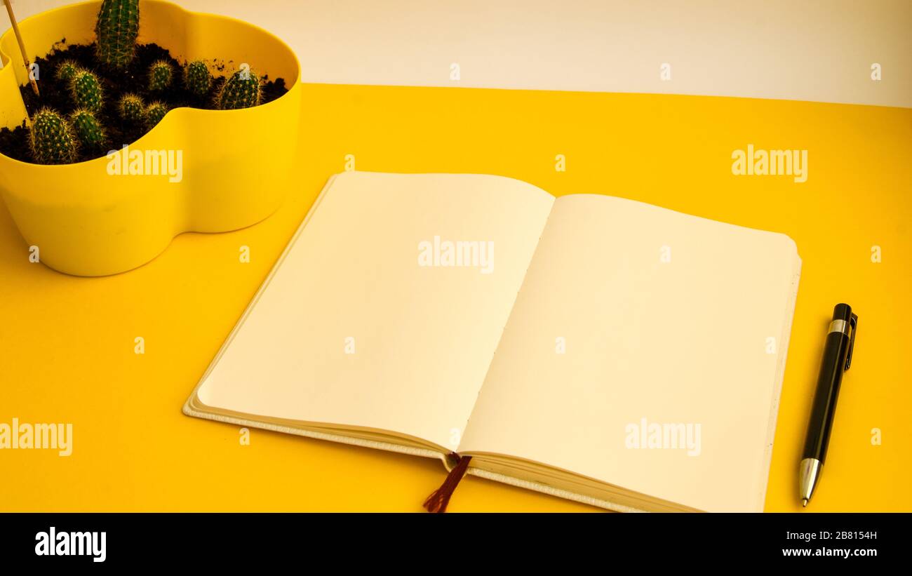 Ballpoint Pen and Blank Paper Notebook with Spiral Binding as Business Copy  Space on Yellow Background Stock Photo - Alamy