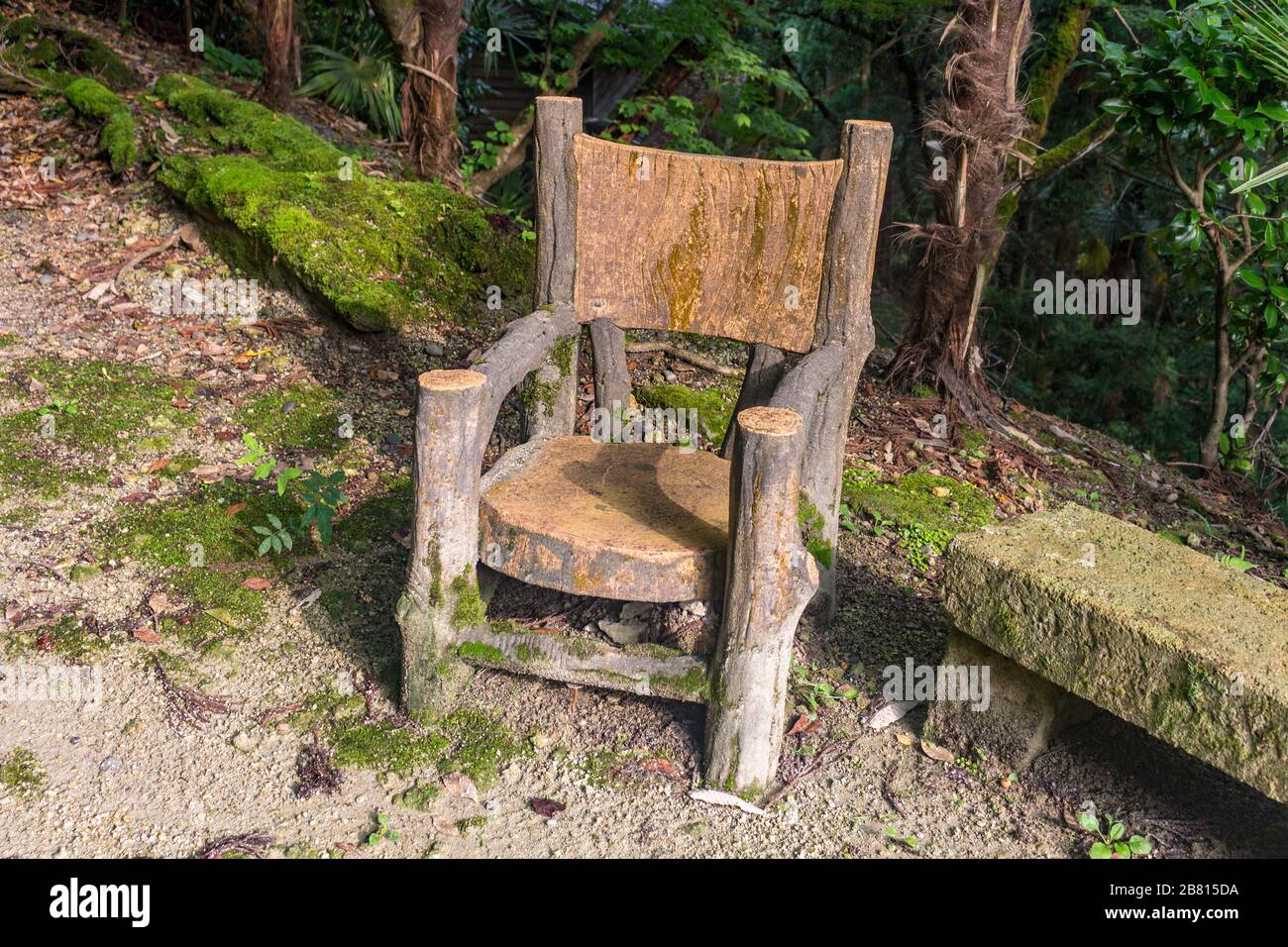 Simple chair made from tree branches and wood offcuts, in forest at