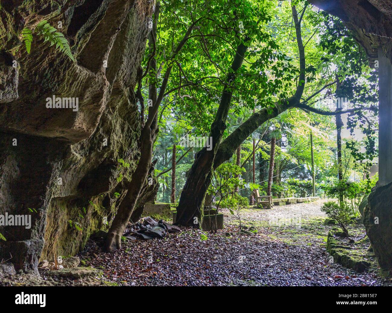 View from inside cave looking out into sunlit path and forest. Hanibe caves complex, Komatsu, Ishikawa Prefecture, Japan. Stock Photo