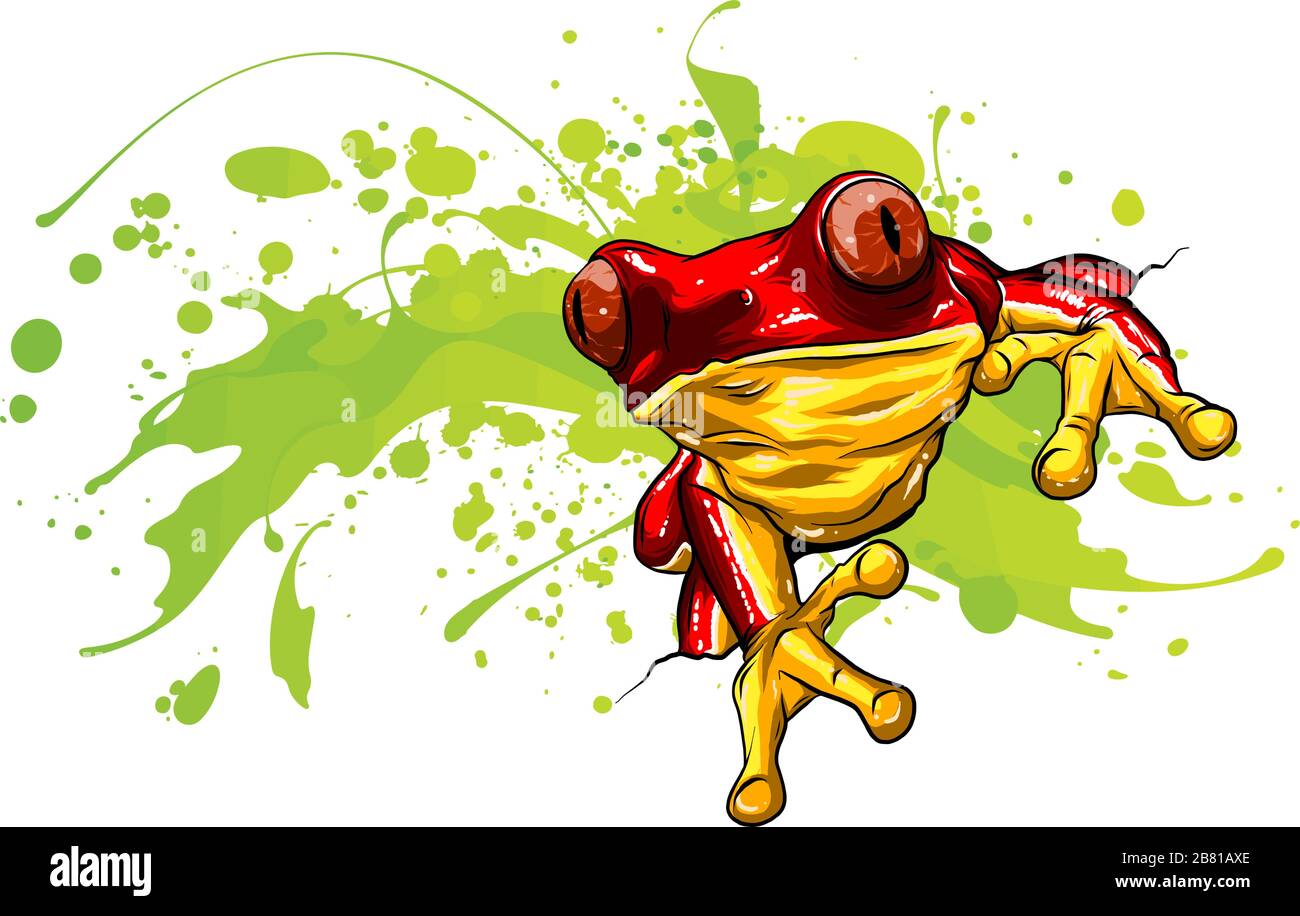 animal Red frog with flower vector illustration Stock Vector Image & Art Alamy