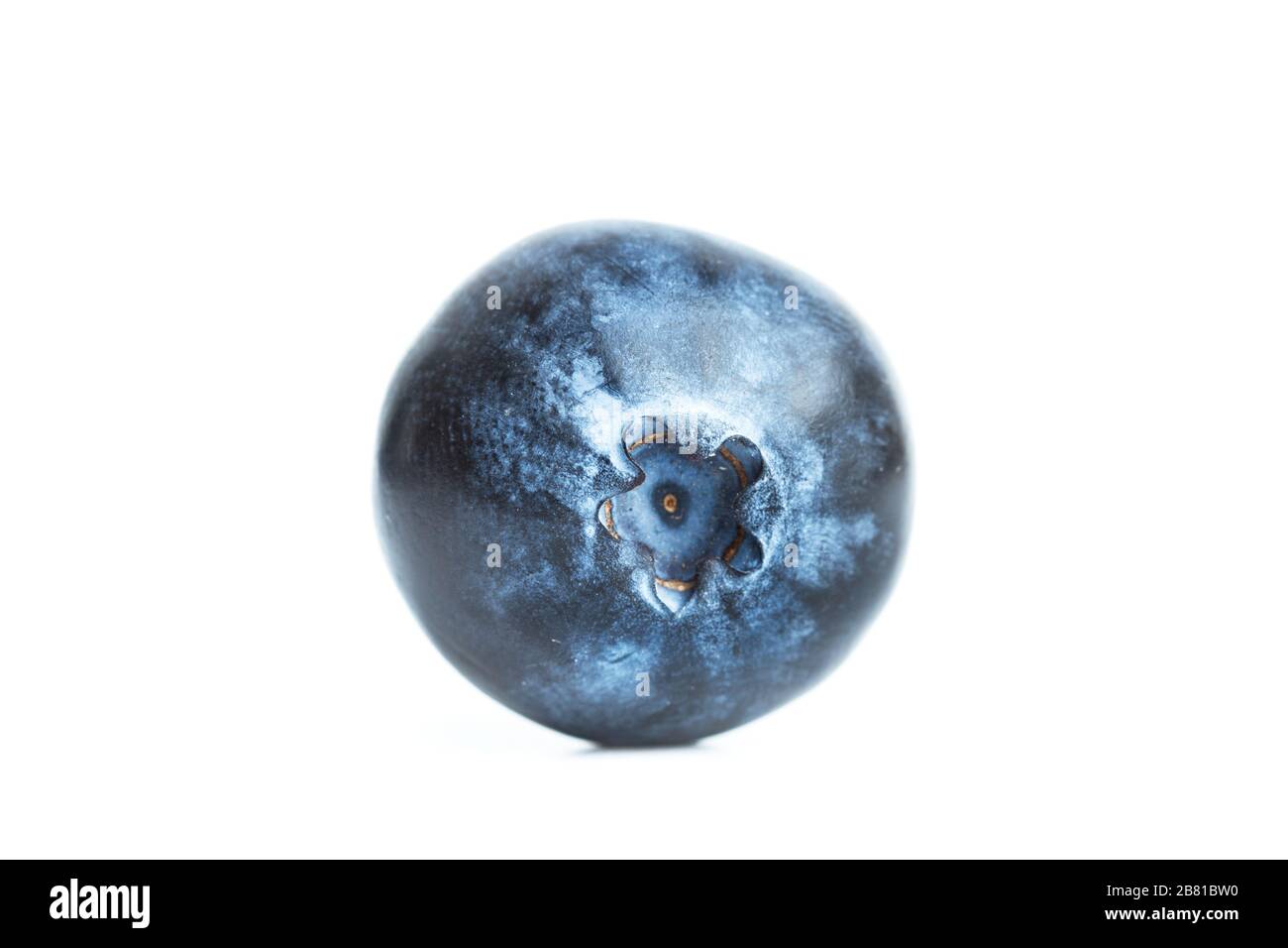 One Blueberry On A White Background Isolated In A Close Up View Stock Photo Alamy