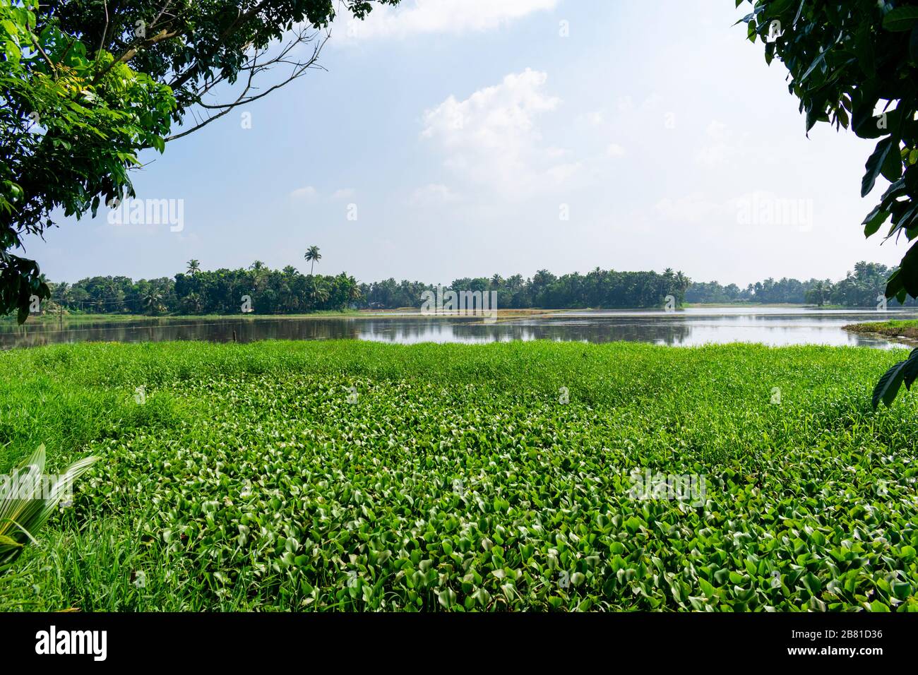 Alapphuzza, Kerala, India - December 25 2019 - A glimpse of the Vembanad lake Stock Photo