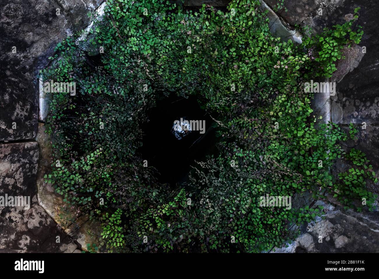 Ancient water well, surrounded by vegetation. View from top. Stock Photo