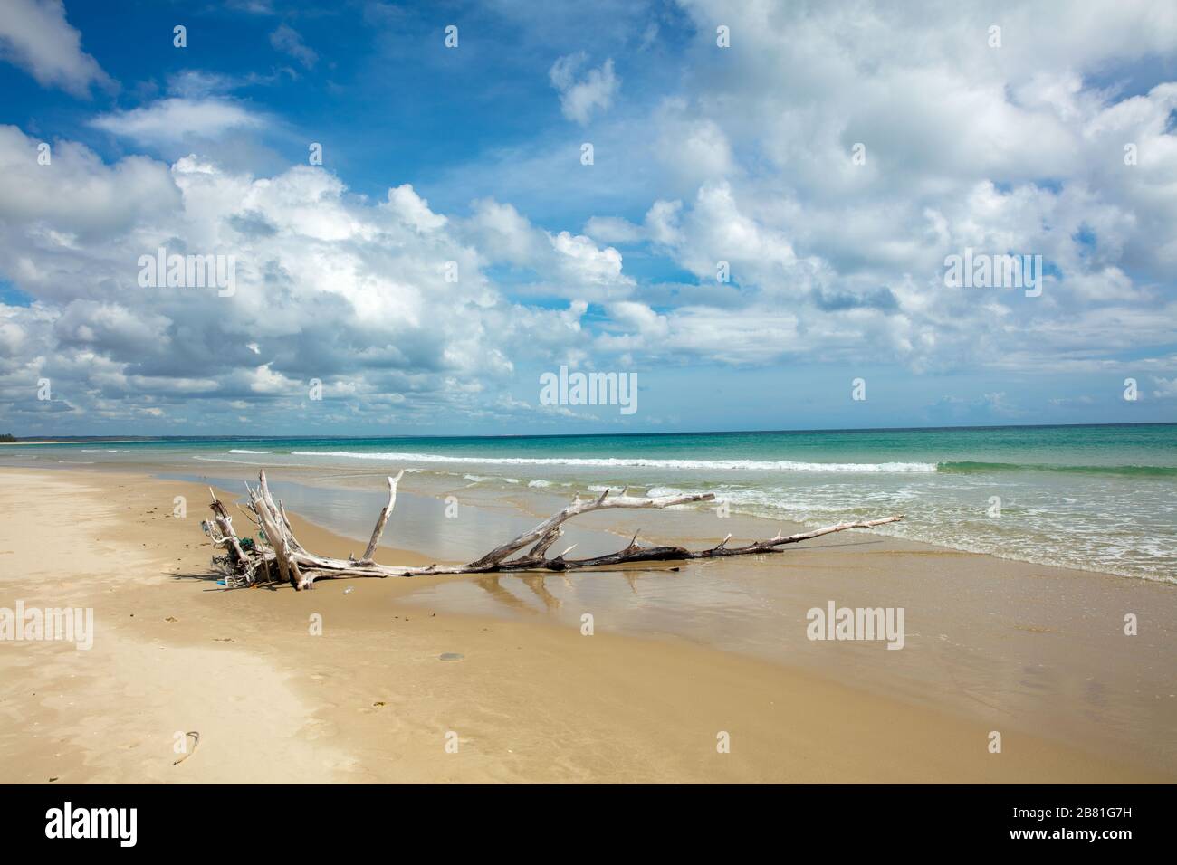 Wild Beaches And Sky Of Beautiful Indian Ocean In Mozambique Stock Photo Alamy