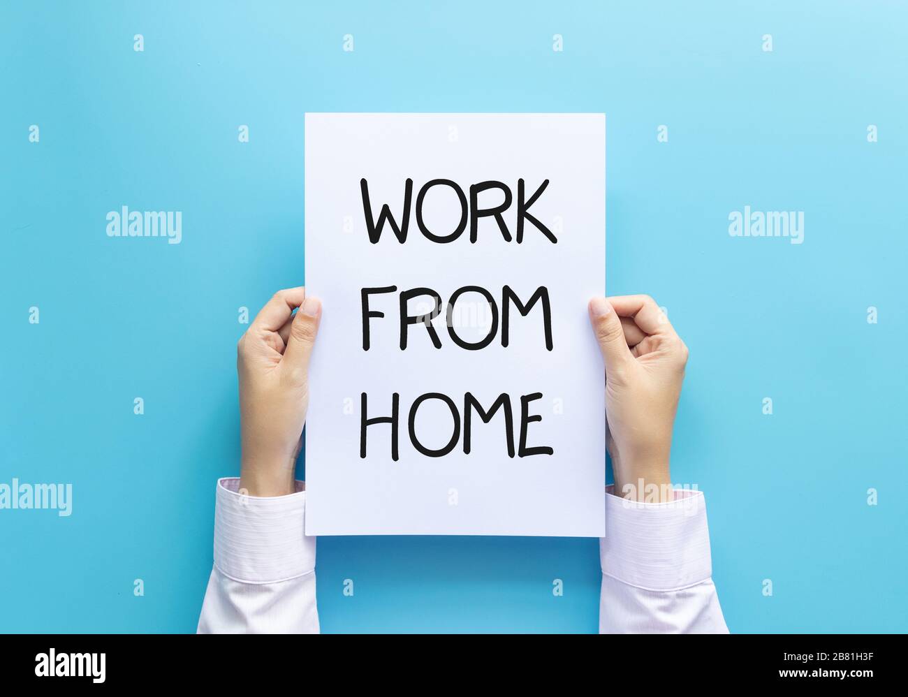 work from home concept. woman hand holding paper with word work from home isolated on blue background, studio shot. Stock Photo
