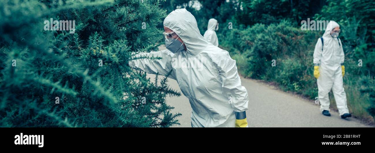 People in bacteriological protection suits looking for samples on empty road Stock Photo