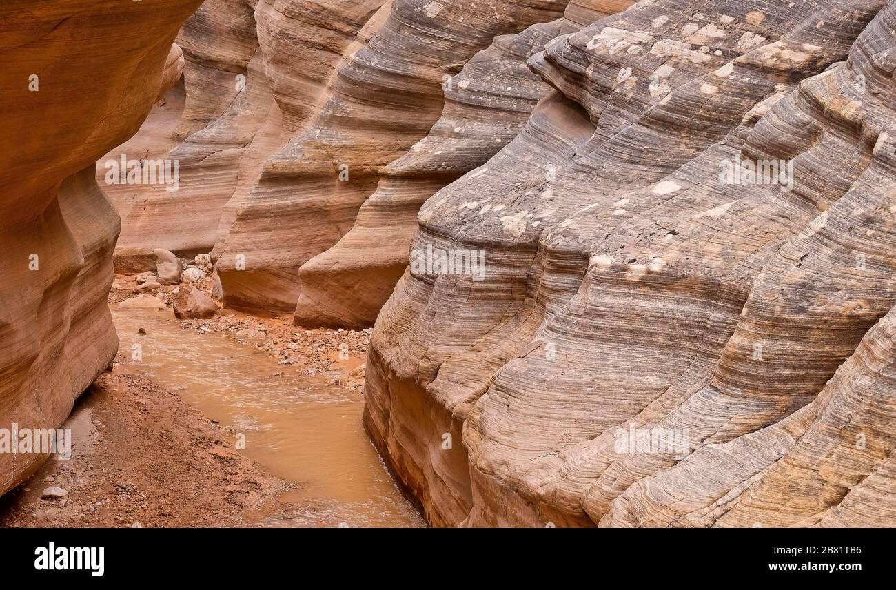 Willis Creek Slot Canyon in the Grand Staircase, Escalante.. A hiker