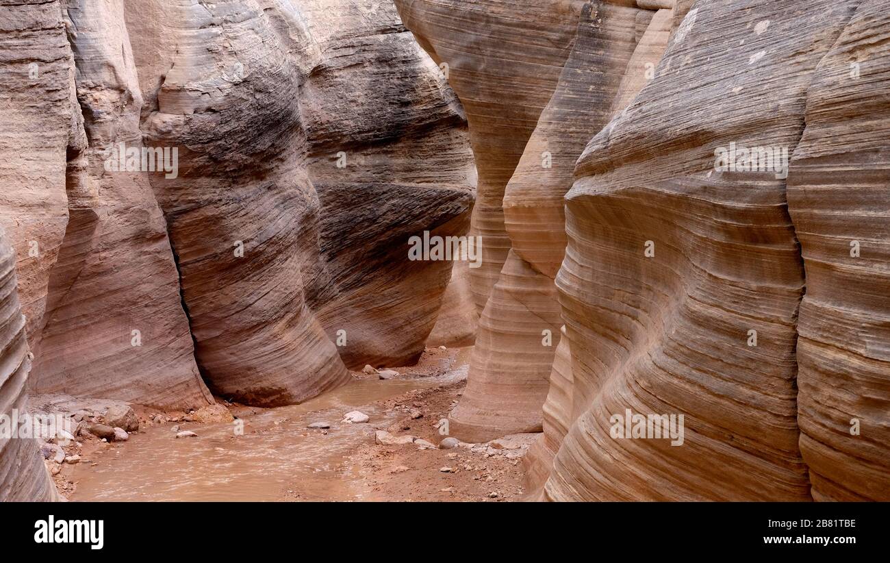 Willis Creek Slot Canyon in the Grand Staircase, Escalante..  A hiker friendly slot canyon in Utah formed from Navajo sandstone. Stock Photo